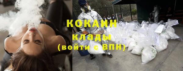 прущий лед Богородицк