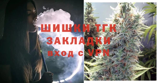 индика Пролетарск