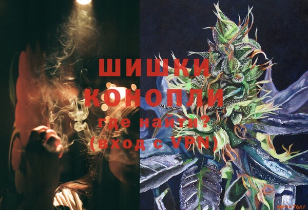 PSILOCYBIN Богданович