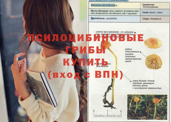 прущий лед Богородицк