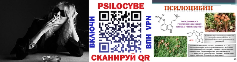 omg ссылки  купить   Наро-Фоминск  Псилоцибиновые грибы GOLDEN TEACHER 